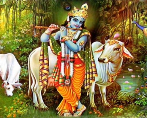 Krishna incarnazione Visnù