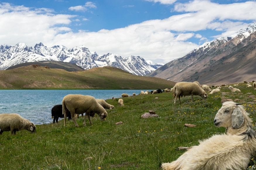 Valle dello Spiti